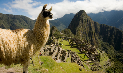 Vista general de Machu Picchu