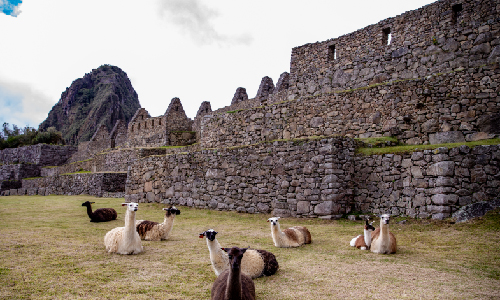 Machu Picchu Main Plaza