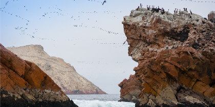 Paracas & Huacachina